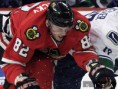 /album/fotogaleria-kopecky/p43369dbc-kopecky-jpg/