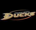 /album/fotogaleria-nhl-kluby/anaheim-ducks-jpg/